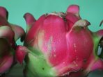 Fakta Menarik Buah Naga