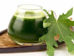 Jus Daun Pepaya