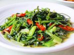 cah kangkung