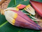 JANTUNG PISANG