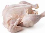 daging ayam