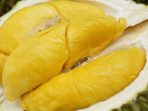 durian