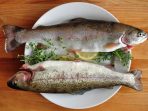 ikan yang di waspadai kolesterol tinggi