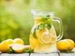 minuman detoks ginjal