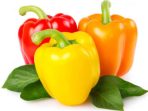 paprika