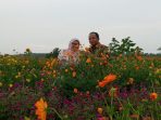 taman bunga