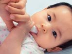 cara membersihkan lidah sikecil cara membersihkan lidah sikecil
