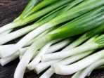 manfaat daun bawang manfaat daun bawang