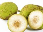 manfaat sukun manfaat sukun