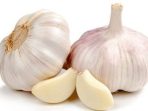 Bawang Putih dan Sejuta Manfaat Bawang Putih dan Sejuta Manfaat