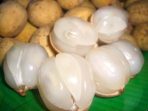 Khasiat Buah Duku