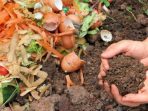 Pupuk Olah Sampah di Sekitarmu Jadi Pupuk Kompos Alami Ini Caranya