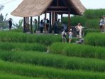 TNI Turunkan TNI Turunkan
