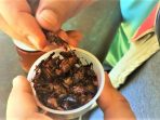 jangkiring goreng