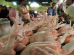 daging ayam kominfo jatim