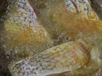 menggoreng ikan