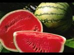Buah semangka Buah Semangka Manfaat Cara Memilih dan Cara Menyimpan MooMoon My ID