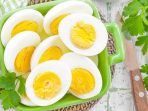 Inilah Jadual Makan Telur Rebus Untuk Kurus