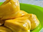 Obat kanker payudara ampuh Manfaat Buah Nangka Untuk Kesehatan