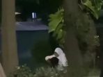 Viral video TSMQSWk45m 1