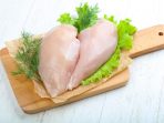 dada ayam