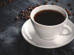 kopi pembakar lemak kopi pembakar lemak