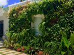 living wall