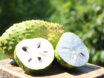10 Kelebihan dari Buah Sirsak untuk Tubuh _ Young On Top 10 Kelebihan dari Buah Sirsak untuk Tubuh Young On Top