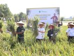 Pj Wali Kota Batu Aries Agung Paewai panen raya padi di Desa Pendem, Sabtu (1/6).