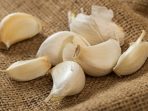 bawang putih