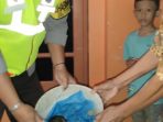bayi jember bayi jember