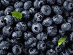 bluberry bluberry