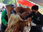 kurban sidoarjo kurban sidoarjo
