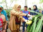 naga kuning banyuwangi naga kuning banyuwangi