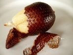 kulit salak
