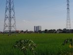IMG 20240808 WA0034