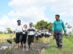 lanal banyuwangi
