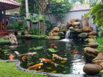 taman minimalis belakang rumah taman minimalis belakang rumah