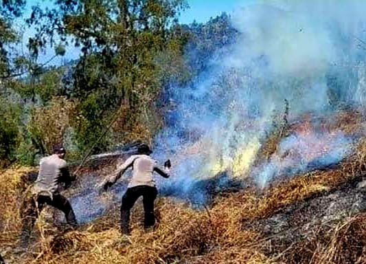 WhatsApp Image 2024 09 08 at 14.37.35