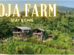5 Rekomendasi Glamping Keluarga dengan Suasana Alam Menakjubkan 2 boja farm