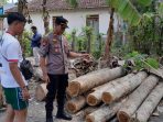 kayu ilegal kayu ilegal