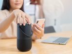 speaker portable