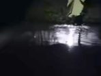 IMG 20241203 WA0001