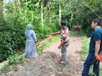 IMG 20241205 WA0051