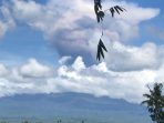 IMG 20241224 WA0020