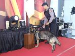 k9 WhatsApp Image 2024 12 03 at 15.05.34