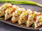 gyoza ayam