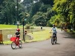 kebun raya bogor