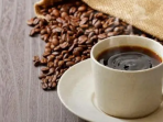 kopi bondowoso