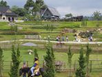 puncak bogor